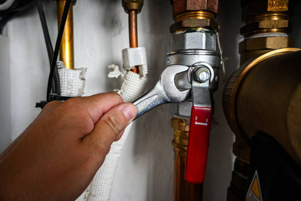 Best Plumbing Services Near Me  in Falfurrias, TX